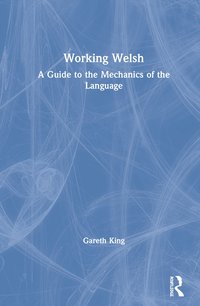 bokomslag Working Welsh