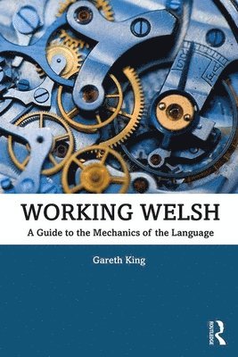 bokomslag Working Welsh