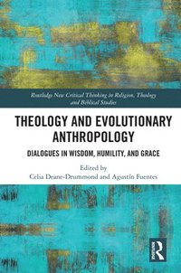 bokomslag Theology and Evolutionary Anthropology