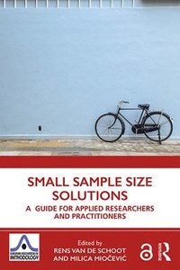 bokomslag Small Sample Size Solutions