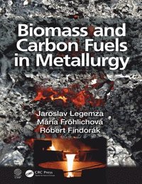 bokomslag Biomass and Carbon Fuels in Metallurgy