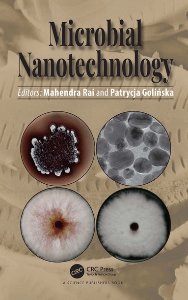 Mahendra Rai, Patrycja Golińska - Microbial Nanotechnology, Inbunden
