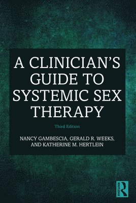 bokomslag A Clinician's Guide to Systemic Sex Therapy