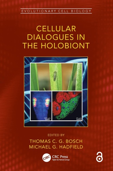 bokomslag Cellular Dialogues in the Holobiont