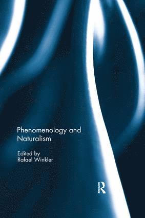 bokomslag Phenomenology and Naturalism