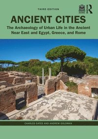 bokomslag Ancient Cities: The Archaeology of Urban Life in the Ancient Near East and Egypt, Greece, and Rome