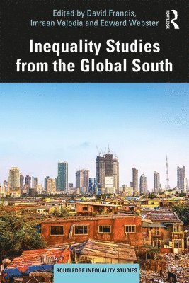bokomslag Inequality Studies from the Global South