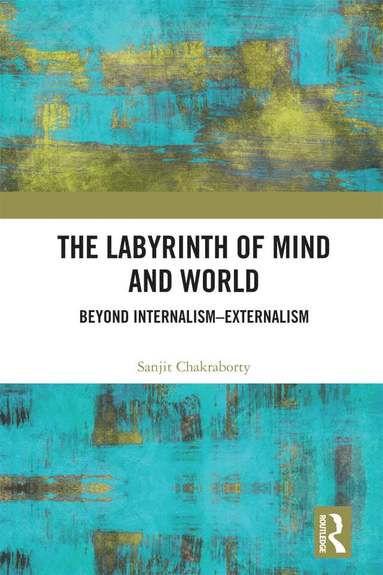 bokomslag Labyrinth of Mind and World