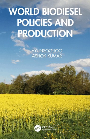 Hyunsoo Joo, Ashok Kumar - World Biodiesel Policies and Production, Inbunden