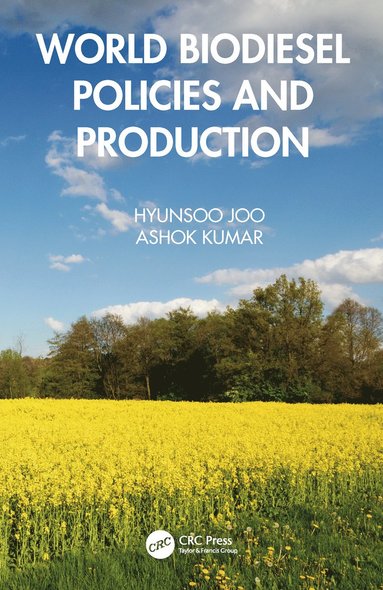 bokomslag World Biodiesel Policies and Production