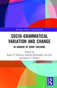 bokomslag Advancing Socio-grammatical Variation and Change