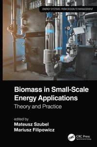 bokomslag Biomass in Small-Scale Energy Applications