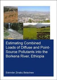 bokomslag Estimating Combined Loads of Diffuse and Point-Source Pollutants Into the Borkena River, Ethiopia