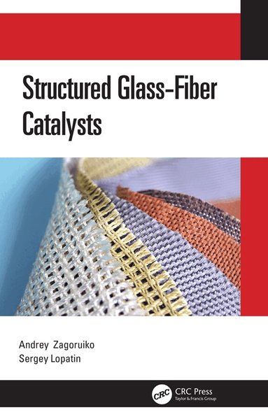 Andrey Zagoruiko, Sergey Lopatin - Structured Glass-Fiber Catalysts, Inbunden