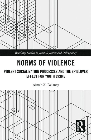 bokomslag Norms of Violence