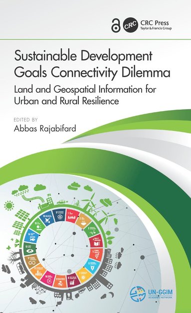 bokomslag Sustainable Development Goals Connectivity Dilemma