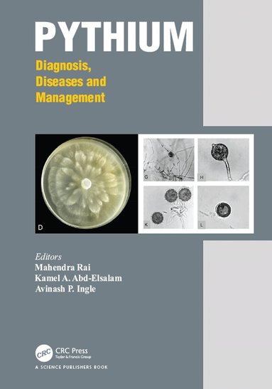Mahendra Rai, Kamel Ahmed Abd-Elsalam, Avinash P. Ingle - Pythium, Inbunden