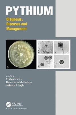 Mahendra Rai, Kamel Ahmed Abd-Elsalam, Avinash P. Ingle - Pythium, Inbunden