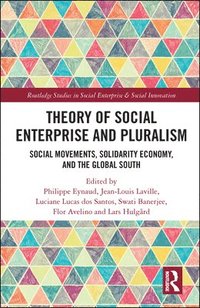 bokomslag Theory of Social Enterprise and Pluralism
