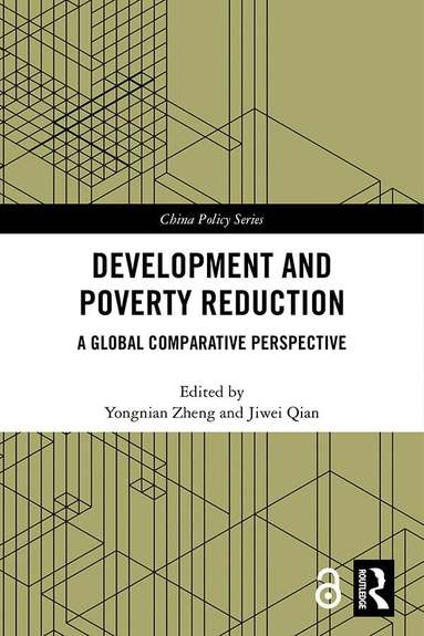 Yongnian Zheng, Jiwei Qian - Development and Poverty Reduction, Inbunden