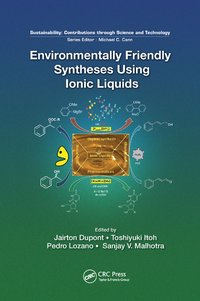 bokomslag Environmentally Friendly Syntheses Using Ionic Liquids