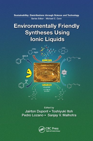 bokomslag Environmentally Friendly Syntheses Using Ionic Liquids