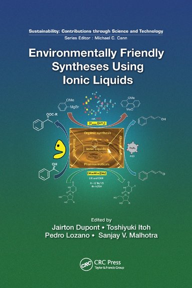 bokomslag Environmentally Friendly Syntheses Using Ionic Liquids