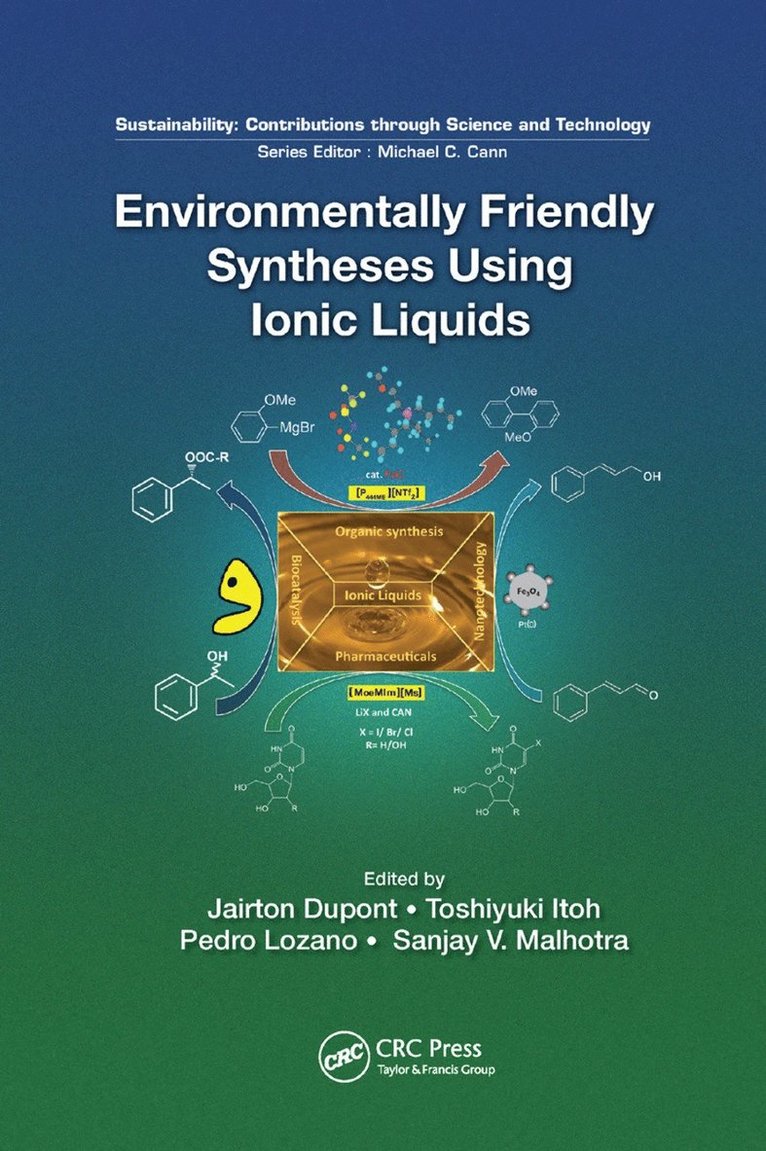 Jairton Dupont, Toshiyuki Itoh, Pedro Lozano, Sanjay Malhotra, Jairton DuPont - Environmentally Friendly Syntheses Using Ionic Liquids, Häftad