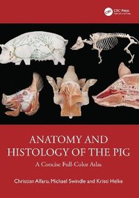 bokomslag Anatomy and Histology of the Pig