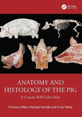 bokomslag Anatomy and Histology of the Pig