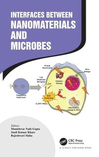 bokomslag Interfaces Between Nanomaterials and Microbes