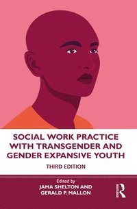 bokomslag Social Work Practice with Transgender and Gender Expansive Youth
