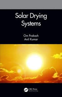 bokomslag Solar Drying Systems