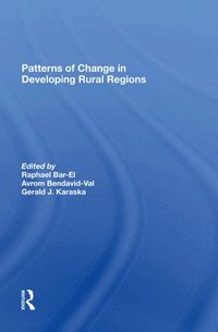 bokomslag Patterns Of Change In Developing Rural Regions