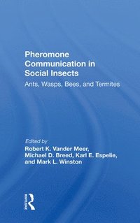 bokomslag Pheromone Communication In Social Insects