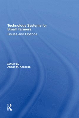 bokomslag Technology Systems For Small/spec Sale O Issues And Options