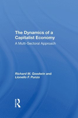 Richard M. Goodwin, Lionel F. Punzo - Dynamics Of A Capitalist Economy, Inbunden