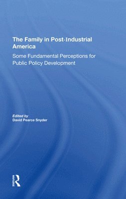 David P. Snyder - Family In Postindustrial America, Inbunden