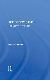 bokomslag The Forever Fuel