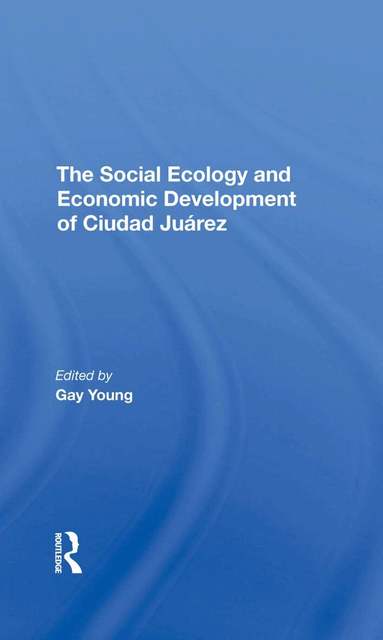 Gay Young, Robert H Schmidt, Oscar J Martinez, Kathleen A Staudt - Social Ecology And Economic Development Of Ciudad Juarez, Inbunden