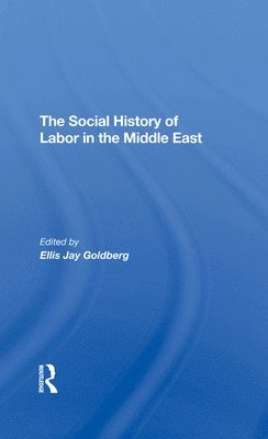 bokomslag Social History Of Labor In The Middle East