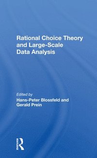bokomslag Rational Choice Theory And Large-Scale Data Analysis
