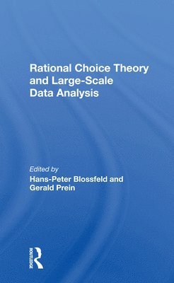 bokomslag Rational Choice Theory And Large-Scale Data Analysis