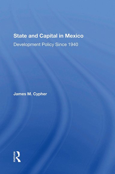 bokomslag State And Capital In Mexico