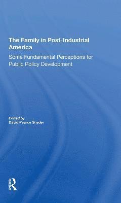 David P. Snyder - Family In Postindustrial America, Häftad