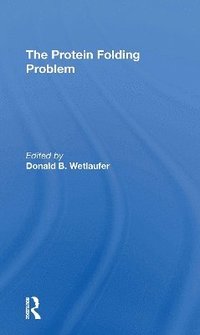 bokomslag Protein Folding Problem
