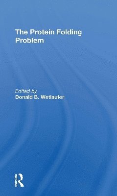 bokomslag Protein Folding Problem