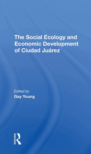 Gay Young, Robert H Schmidt, Oscar J Martinez, Kathleen A Staudt - Social Ecology And Economic Development Of Ciudad Juarez, Häftad