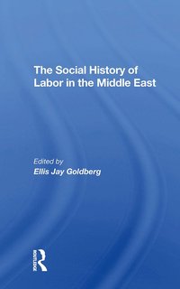bokomslag Social History Of Labor In The Middle East