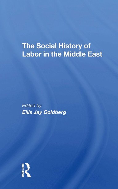 bokomslag Social History Of Labor In The Middle East